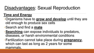 Disadvantages: Sexual Reproduction
Time and Energy
◦Organisms have to grow and develop until they are
old enough to produce sex cells
◦Search and find a mate
◦Searching can expose individuals to predators,
diseases, or harsh environmental conditions
◦Fertilization cannot take place during pregnancy,
which can last as long as 2 years for some
mammals.
 