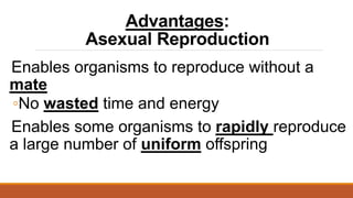 Advantages:
Asexual Reproduction
Enables organisms to reproduce without a
mate
◦No wasted time and energy
Enables some organisms to rapidly reproduce
a large number of uniform offspring
 