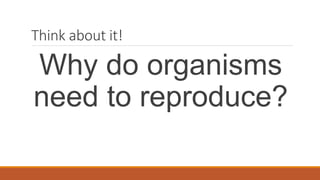 Think about it!
Why do organisms
need to reproduce?
 