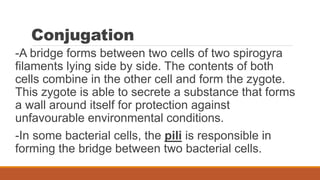 Conjugation
-A bridge forms between two cells of two spirogyra
filaments lying side by side. The contents of both
cells combine in the other cell and form the zygote.
This zygote is able to secrete a substance that forms
a wall around itself for protection against
unfavourable environmental conditions.
-In some bacterial cells, the pili is responsible in
forming the bridge between two bacterial cells.
 
