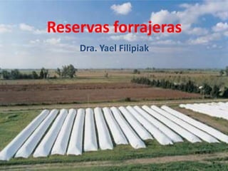 Reservas forrajeras 
Dra. Yael Filipiak 
 