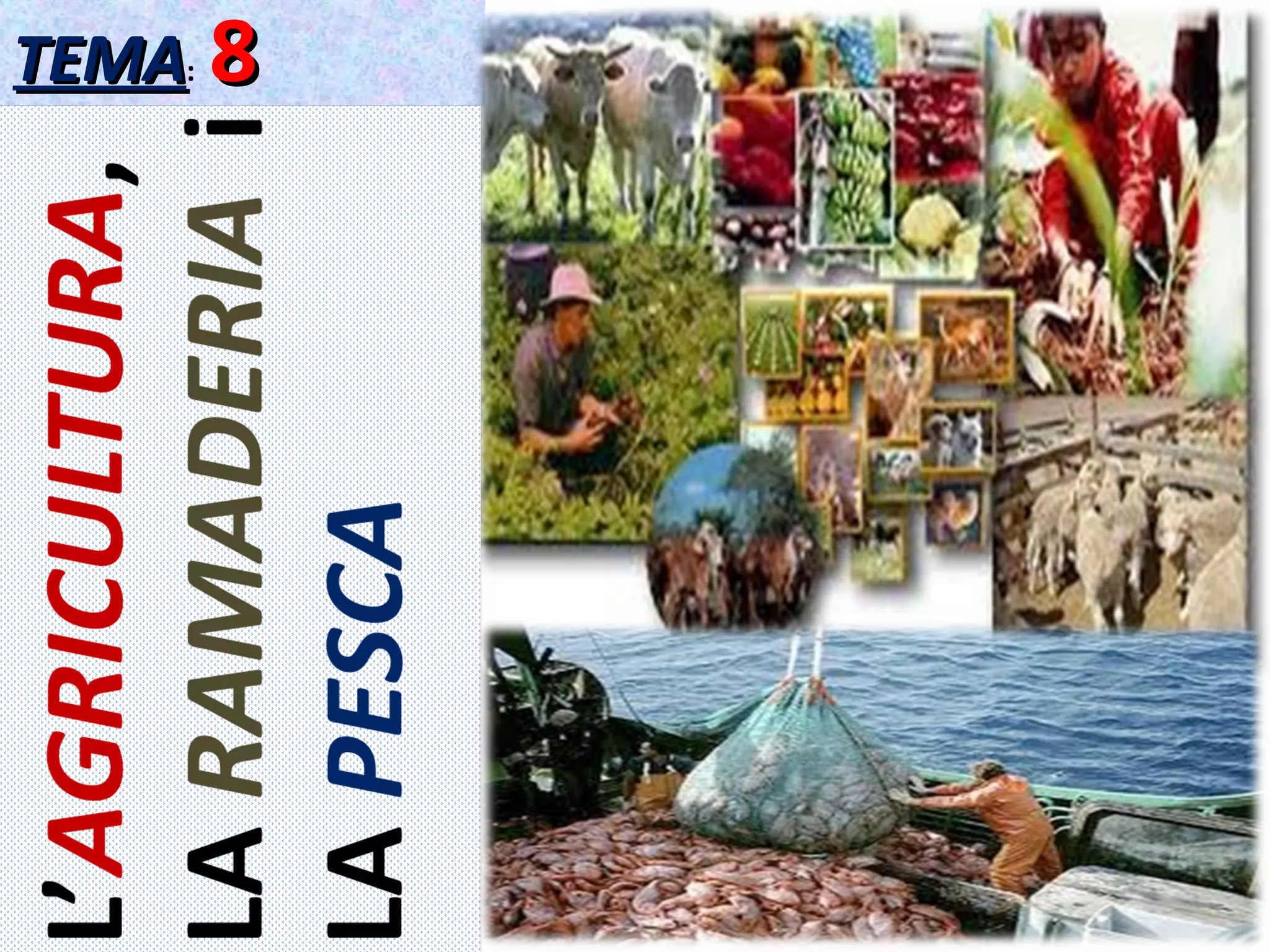 3r Eso Tema 8 l agricultura la Ramaderia I La Pesca PPT