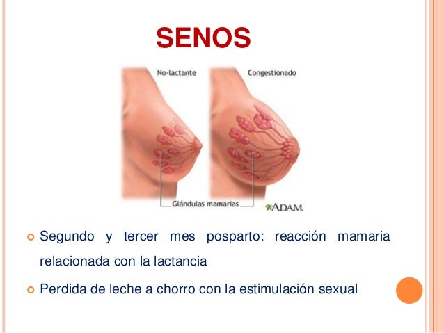 Arreglar la grasa del vientre y los pies en una semana