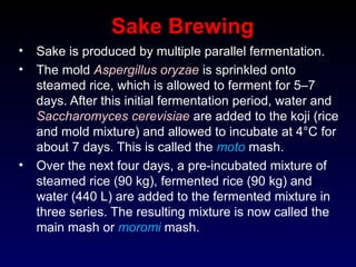 Sake Brewing
• Sake is produced by multiple parallel fermentation.
• The mold Aspergillus oryzae is sprinkled onto
steamed rice, which is allowed to ferment for 5–7
days. After this initial fermentation period, water and
Saccharomyces cerevisiae are added to the koji (rice
and mold mixture) and allowed to incubate at 4°C for
about 7 days. This is called the moto mash.
• Over the next four days, a pre-incubated mixture of
steamed rice (90 kg), fermented rice (90 kg) and
water (440 L) are added to the fermented mixture in
three series. The resulting mixture is now called the
main mash or moromi mash.
 