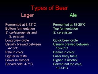 Lager
Fermented at 8-12°C
Bottom fermentation
S. carlsburgensis and
S. uvarum
Long brew cycle
Usually brewed between
4-13°C
Pale in color
Lighter in taste
Lower in alcohol
Served cold, 4-7°C
Types of Beer
Ale
Fermented at 18-25°C
Top fermentation
S. cerevisiae
Quick brew cycle
Usually brewed between
15-25°C
Darker in color
Fuller body taste
Higher in alcohol
Served not too cold,
10-14°C
 