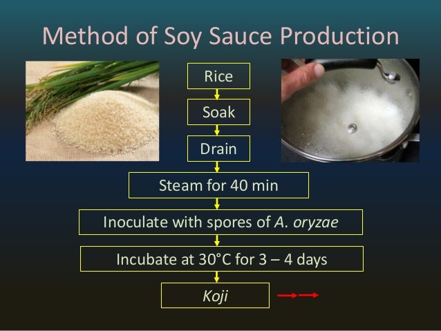 3 richard soy sauce control of process autoclave diagram 