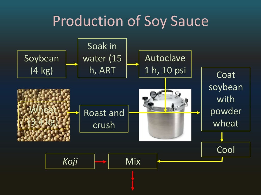3 richard soy sauce control of process