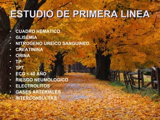 ESTUDIO DE PRIMERA LINEA   CUADRO HEMATICO GLISEMIA  NITROGENO UREICO SANGUINEO  CREATININA  ORINA TP TPT ECG < 40 AÑO RIESGO NEUMOLOGICO  ELECTROLITOS GASES ARTERIALES  INTERCONSULTAS  