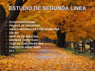 ESTUDIO DE SEGUNDA LINEA ECOCARDIOGRAMA  PRUEVA DE ESFUERSO  GASES ARTERIALES Y ESPIROMETRIA  ESCAN NIVELES DE INSULINA ENZIMAS  HEPATICAS  TEST DE FUNCION RENAL  CONTEO PLAQUETARIO  ETC  