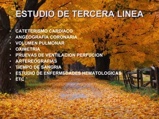 ESTUDIO DE TERCERA LINEA CATETERISMO CARDIACO ANGEOGRAFIA CORONARIA VOLUMEN PULMONAR  OXIMETRIA  PRUEVAS DE VENTILACION PERFUCION ARTEREOGRAFIAS  TIEMPO DE SANGRIA ESTUDIO DE ENFERMEDADES HEMATOLOGICAS  ETC 