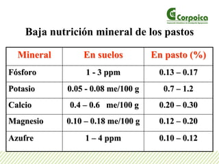 Baja nutrición mineral de los pastos
MineralMineral En suelosEn suelos En pasto (%)En pasto (%)
FFóósforosforo 11 -- 3 ppm3 ppm 0.130.13 –– 0.170.17
PotasioPotasio 0.050.05 -- 0.08 me/100 g0.08 me/100 g 0.70.7 –– 1.21.2
CalcioCalcio 0.40.4 –– 0.6 me/100 g0.6 me/100 g 0.200.20 –– 0.300.30
MagnesioMagnesio 0.100.10 –– 0.18 me/100 g0.18 me/100 g 0.120.12 –– 0.200.20
AzufreAzufre 11 –– 4 ppm4 ppm 0.100.10 –– 0.120.12
 