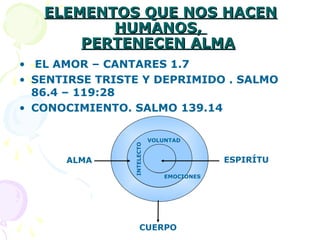 ELEMENTOS QUE NOS HACENELEMENTOS QUE NOS HACEN
HUMANOS,HUMANOS,
PERTENECEN ALMAPERTENECEN ALMA
• EL AMOR – CANTARES 1.7
• SENTIRSE TRISTE Y DEPRIMIDO . SALMO
86.4 – 119:28
• CONOCIMIENTO. SALMO 139.14
ESPIRÍTU
VOLUNTAD
EMOCIONES
INTELECTO
ALMA
CUERPO
 