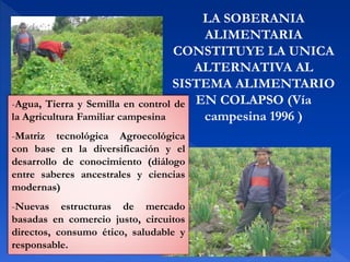 LA SOBERANIA
ALIMENTARIA
CONSTITUYE LA UNICA
ALTERNATIVA AL
SISTEMA ALIMENTARIO
EN COLAPSO (Vía
campesina 1996 )
-Agua, Tierra y Semilla en control de
la Agricultura Familiar campesina
-Matriz tecnológica Agroecológica
con base en la diversificación y el
desarrollo de conocimiento (diálogo
entre saberes ancestrales y ciencias
modernas)
-Nuevas estructuras de mercado
basadas en comercio justo, circuitos
directos, consumo ético, saludable y
responsable.
 