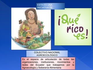 COLECTIVO NACIONAL
AGROECOLÓGICO
Es el espacio de articulación de todas las
organizaciones, instituciones, movimientos y
redes del Ecuador que trabajamos por la
Agroecología y Soberanía Alimentaria
ESTA ES UNA
INICIATIVA DE:
 
