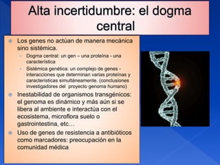  Los genes no actúan de manera mecánica
sino sistémica.
› Dogma central: un gen – una proteína - una
característica
› Sistémica genética: un complejo de genes -
interacciones que determinan varias proteínas y
características simultáneamente. (conclusiones
investigadores del proyecto genoma humano)
 Inestabilidad de organismos transgénicos:
el genoma es dinámico y más aún si se
libera al ambiente e interactúa con el
ecosistema, microflora suelo o
gastrointestina, etc…
 Uso de genes de resistencia a antibióticos
como marcadores: preocupación en la
comunidad médica
 