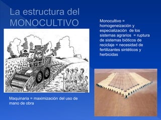 Maquinaria = maximización del uso de
mano de obra
Monocultivo =
homogeneización y
especialización de los
sistemas agrarios = ruptura
de sistemas bióticos de
reciclaje = necesidad de
fertilizantes sintéticos y
herbicidas
 
