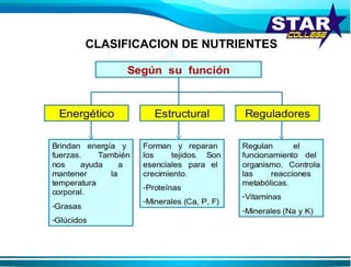 CLASIFICACION DE NUTRIENTES
 