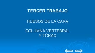 TERCER TRABAJO
HUESOS DE LA CARA
COLUMNA VERTEBRAL
Y TÓRAX
VOLVER TEMAS
 