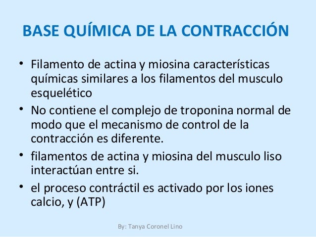 Resultado de imagen para Base quÃ­mica de la contracciÃ³n del mÃºsculo liso