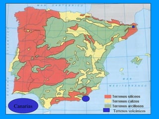 Canarias
           Terrenos volcánicos
 