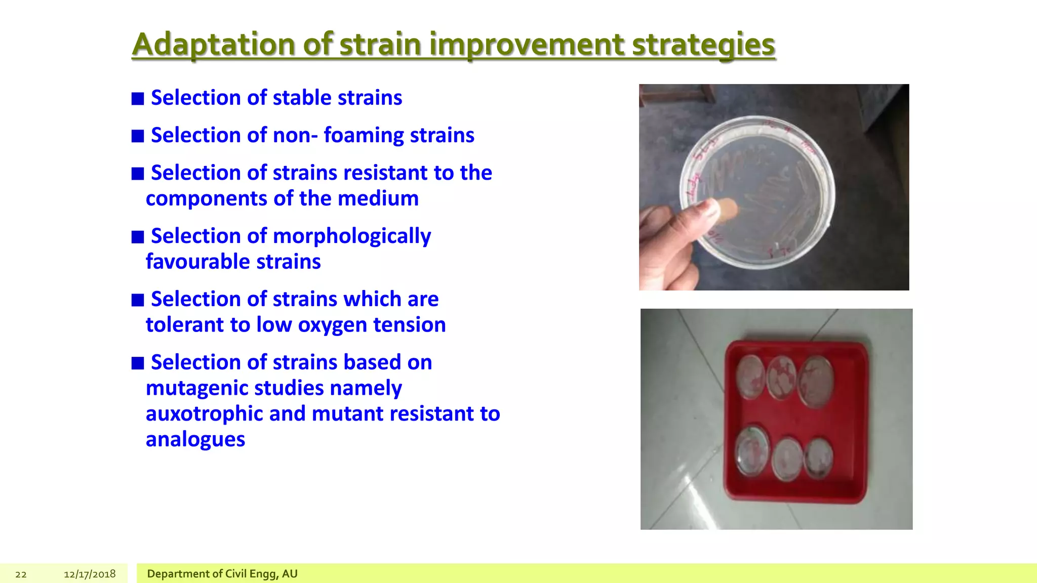 Adaptation of strain improvement strategies
Selection of stable strains
Selection of non- foaming strains
Selection of strains resistant to the
components of the medium
Selection of morphologically
favourable strains
Selection of strains which are
tolerant to low oxygen tension
Selection of strains based on
mutagenic studies namely
auxotrophic and mutant resistant to
analogues
22 12/17/2018 Department of Civil Engg, AU
 