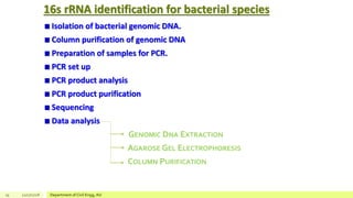 16s rRNA identification for bacterial species
Isolation of bacterial genomic DNA.
Column purification of genomic DNA
Preparation of samples for PCR.
PCR set up
PCR product analysis
PCR product purification
Sequencing
Data analysis
GENOMIC DNA EXTRACTION
AGAROSE GEL ELECTROPHORESIS
COLUMN PURIFICATION
19 12/17/2018 Department of Civil Engg, AU
 