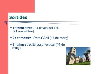 Sortides 
1r trimestre: Les coves del Toll 
(21 novembre) 
2n trimestre: Parc Güell (11 de març) 
3r trimestre: El bosc...