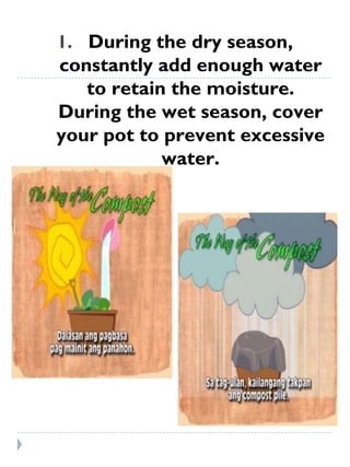During the dry season, constantly add enough water to retain the moisture. During the wet season, cover your pot to prevent excessive water. 