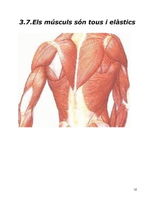 3.7.Els músculs són tous i elàstics




                                  12
 