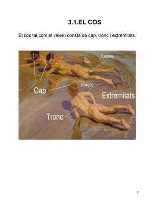 3.1.EL COS

El cos tal com el veiem consta de cap, tronc i extremitats.




                                                              7
 