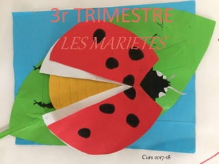 3r TRIMESTRE
LES MARIETES
Curs 2017-18
 