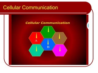 Cellular Communication
 