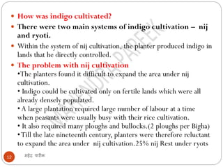 महेंद्र पारीक12
 How was indigo cultivated?
 There were two main systems of indigo cultivation – nij
and ryoti.
 Within the system of nij cultivation, the planter produced indigo in
lands that he directly controlled.
 The problem with nij cultivation
•The planters found it difficult to expand the area under nij
cultivation.
• Indigo could be cultivated only on fertile lands which were all
already densely populated.
•A large plantation required large number of labour at a time
when peasants were usually busy with their rice cultivation.
• It also required many ploughs and bullocks.(2 ploughs per Bigha)
•Till the late nineteenth century, planters were therefore reluctant
to expand the area under nij cultivation.25% nij Rest under ryots
 