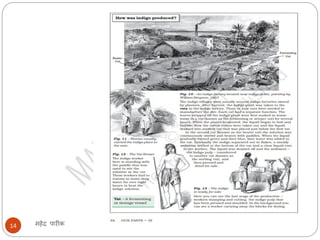 महेंद्र पारीक14
 