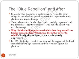 The “Blue Rebellion” and After
महेंद्र पारीक15
 In March 1859 thousands of ryots in Bengal refused to grow
indigo.As the rebellion spread, ryots refused to pay rents to the
planters, and attacked indigo
 Those who worked for the planters were socially boycotted, and
the gomasthas – agents of planters – who came to collect rent
were beaten up.
 Why did the indigo peasants decide that they would no
longer remain silent?What gave them the power to
rebel? Clearly, the indigo system was intensely
oppressive
 In 1859, the indigo ryots felt that they had the support of the local
zamindars and village headmen in their rebellion against the
planters
 