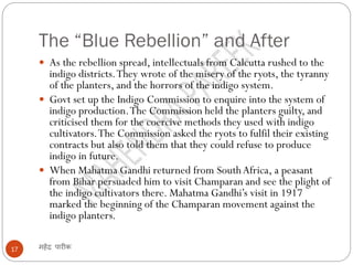 The “Blue Rebellion” and After
महेंद्र पारीक17
 As the rebellion spread, intellectuals from Calcutta rushed to the
indigo districts.They wrote of the misery of the ryots, the tyranny
of the planters, and the horrors of the indigo system.
 Govt set up the Indigo Commission to enquire into the system of
indigo production.The Commission held the planters guilty, and
criticised them for the coercive methods they used with indigo
cultivators.The Commission asked the ryots to fulfil their existing
contracts but also told them that they could refuse to produce
indigo in future.
 When Mahatma Gandhi returned from SouthAfrica, a peasant
from Bihar persuaded him to visit Champaran and see the plight of
the indigo cultivators there. Mahatma Gandhi’s visit in 1917
marked the beginning of the Champaran movement against the
indigo planters.
 