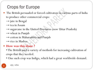 Crops for Europe
महेंद्र पारीक8
 The British persuaded or forced cultivators in various parts of India
to produce other commercial crops:
→ jute in Bengal
→ tea in Assam
→ sugarcane in the United Provinces (now Uttar Pradesh)
→ wheat in Punjab
→ cotton in Maharashtra and Punjab
→ rice in Madras.
 How was this done ?
•The British used a variety of methods for increasing cultivation of
crops that they needed.
• One such crop was Indigo, which had a great worldwide demand.
 