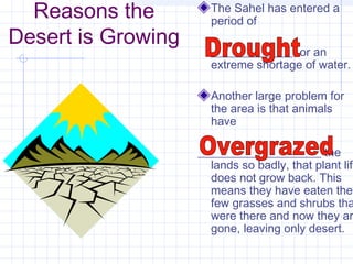 Reasons the
Desert is Growing
The Sahel has entered a
period of
______________, or an
extreme shortage of water.
Another large problem for
the area is that animals
have
_____________________ the
lands so badly, that plant life
does not grow back. This
means they have eaten the
few grasses and shrubs tha
were there and now they ar
gone, leaving only desert.
 