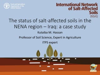 The status of salt-affected soils in the
NENA region – Iraq: a case study
Kutaiba M. Hassan
Professor of Soil Science, Expert in Agriculture
ITPS expert
 