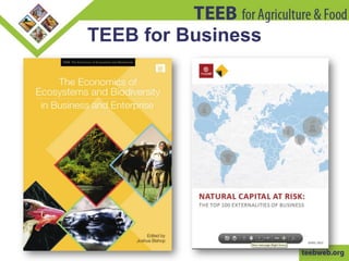TEEB for Business
 