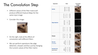 The Convolution Step
• Different values of the filter matrix will
produce different Feature Maps for the
same input image
• Consider this image:
• On the right, look at the effects of
convolution with different filters
• We can perform operations like edge
detection, sharpen and blur just by changing
the numeric values of the filter matrix
 
