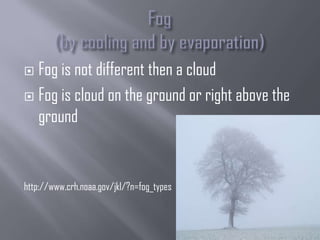  Fog is not different then a cloud
 Fog is cloud on the ground or right above the
  ground


http://www.crh.noaa.gov/jkl/?n=fog_types
 