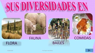 10/06/2016 Por Sayuri Leòn Renè
 