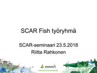 04.06.18 1
SCAR Fish työryhmä
SCAR-seminaari 23.5.2018
Riitta Rahkonen
 