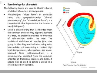 • Terminology for characters
The following terms are used to identify shared
or distinct characters among groups:
• Plesiomorphy ("close form") or ancestral
state, also symplesiomorphy ("shared
plesiomorphy", i.e. "shared close form"), is a
characteristic that is present at the base of a
tree (cladogram).
• Since a plesiomorphy that is inherited from
the common ancestor may appear anywhere
in a tree, its presence provides no evidence
of relationships within the tree. The
traditional definition of reptiles (the blue
group in the diagram) includes being cold-
blooded (i.e. not maintaining a constant high
body temperature), whereas birds are warm-
blooded. Since cold-bloodedness is a
plesiomorphy, inherited from the common
ancestor of traditional reptiles and birds, it
should not be used to define a group in a
system based on cladistics.
 