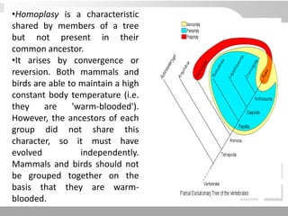 •Homoplasy is a characteristic
shared by members of a tree
but not present in their
common ancestor.
•It arises by convergence or
reversion. Both mammals and
birds are able to maintain a high
constant body temperature (i.e.
they are 'warm-blooded').
However, the ancestors of each
group did not share this
character, so it must have
evolved independently.
Mammals and birds should not
be grouped together on the
basis that they are warm-
blooded.
 