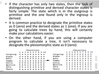 • If the character has only two states, then the task of
distinguishing primitive and derived character states is
fairly simple: The state which is in the outgroup is
primitive and the one found only in the ingroup is
derived.
• It is common practice to designate the primitive states
as 0 (zero) and the derived states as 1 (one). If you are
going to calculate trees by hand, this will certainly
make your calculations easier.
• On the other hand, if you are using a computer
program to calculate a tree, it isn’t necessary to
designate the plesiomorphic state as 0 (zero):
 