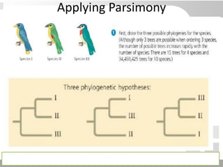 Applying Parsimony
 