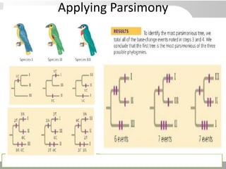 Applying Parsimony
 