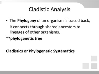 Cladistic Analysis
• The Phylogeny of an organism is traced back,
it connects through shared ancestors to
lineages of other organisms.
**phylogenetic tree
Cladistics or Phylogenetic Systematics
 